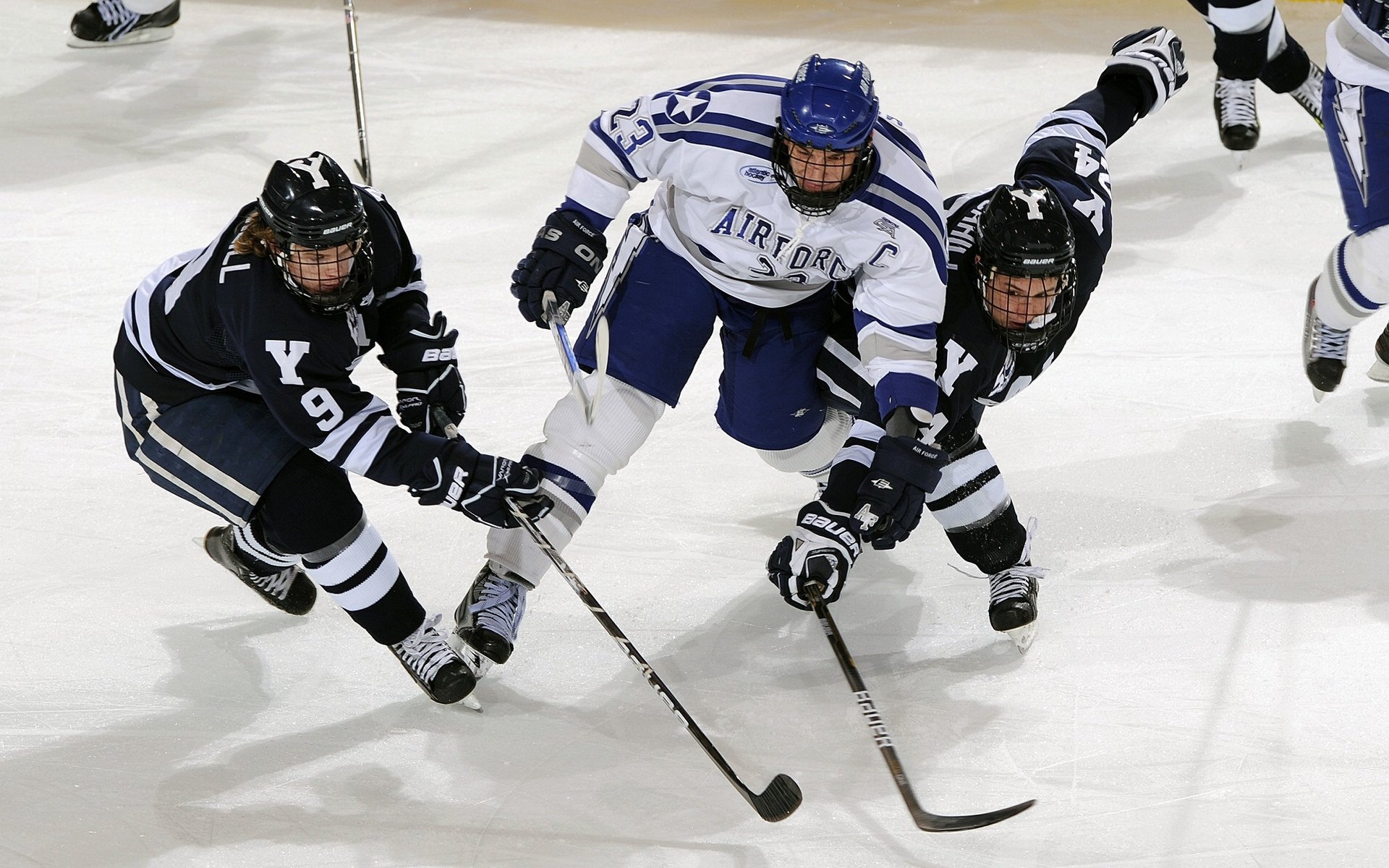 绿茵场与篮球馆，德甲争冠的战术博弈与掘金队的完胜启示